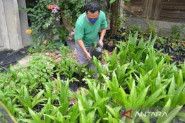 Tingkatkan Animo Masyarakat Bertani, PT Timah Bantu Gapoktan Kulur Jaya
