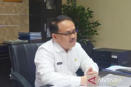 Stok kedelai Kaltim aman hingga tiga bulan ke depan