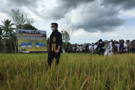 Gubernur Aceh minta dukungan Mentan atasi defisit perdagangan