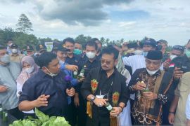 Mentan RI minta petani tak bergantung pada pupuk subsidi