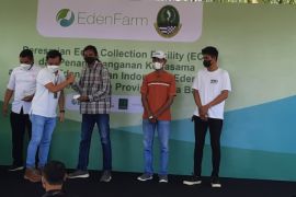 EdenFarm rangkul petani milenial kembangkan pertanian ciptakan ekosistem pangan