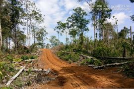 Polisi selidiki informasi jual beli hutan habitat gajah di Bengkulu
