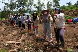 Mantan kades di Magelang hibahkan tanah empat hektare ke warga terdampak jalan tol