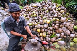 Olahan Kelapa Kopra Page 1 Small