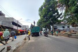BPBD Kota Bogor: Penanganan pohon tumbang selesai, Jalan MA Salmun lancar