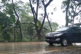 BMKG prakirakan wilayah NTB diguyur hujan sedang hingga lebat