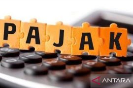 Pengamat usul kenaikan PPN sebaiknya ditunda