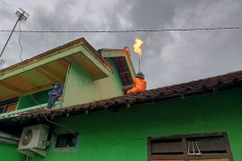 Damkar Tulungagung tangani 66 gangguan tawon vespa di permukiman warga