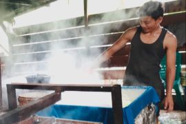 Ini kebutuhan kedelai di Takengon
