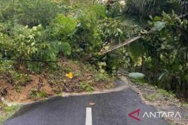 Hujan deras akibatkan tebing Bukit Kasangkah di Pamekasan longsor
