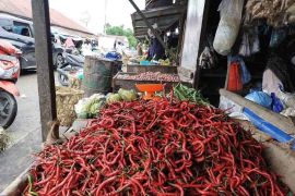 Harga cabai di Simeulue kian pedas, Rp120 ribu per kilogram