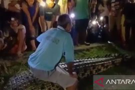 BKSDA sebut evakuasi buaya di Sungai Selagan tidak dibenarkan
