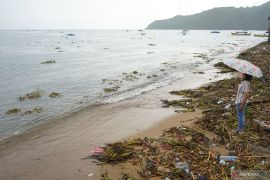 Eceng gondok kotori objek wisata Pantai Indah Gorontalo