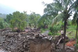 Jembatan di Kajai Pasaman  Barat rusak akibat meluapnya Sungai Lampang