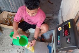 Diskoperindag Aceh Tamiang pastikan persediaan migor tercukupi