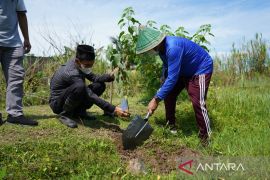 PJM Pelindo tanam pohon di dua lokasi di Sulawesi Selatan