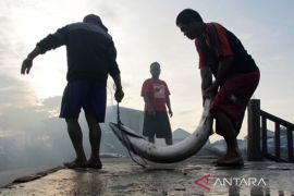 Target konsumsi ikan nasional 2022 Page 1 Small