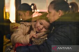 Skema "Rumah untuk Ukraina" di Inggris membuat UNHCR prihatin