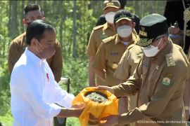 Gubernur Aceh tabur tanah Iskandar Muda dan air Masjid Raya di IKN