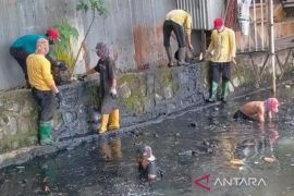 Banjarmasin terapkan strategi penanganan sanitasi di perumahan