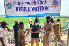 DKI memulai pertanian perkotaan di tujuh sasaran ruang pada 2023