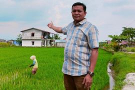 Mengulik prioritas penggunaan dana desa tahun 2022 untuk pemulihan ekonomi