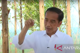 Presiden Jokowi: Istana Negara IKN dibangun  di dataran tertinggi