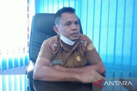 Baubau kembangkan ayam kampung super