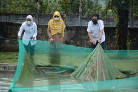 DKP Sumbar apresiasi program konservasi ikan bilih PT Semen Padang