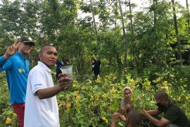 Kementan dorong Mahasiswa Polbangtan dukung produksi kedelai