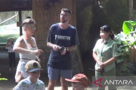 Wisatawan mancanegara mulai kunjungi Taman Bali Safari di Gianyar (video)