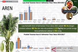 Produksi aren Kaltim fluktuatif dalam tiga tahun