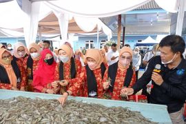 Istri Menteri KP RI hadiri panen udang vaname di Aceh Tamiang