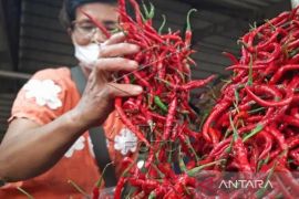 Harga Cabai Merah Melonjak Rp100 Ribu Per Kilogram Mulai Hari Ini Di Jambi Page 1 Small