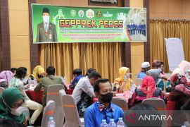 Dinas PMD Tapin -  STIE Indonesia gelar workshop ekonomi desa berkelanjutan