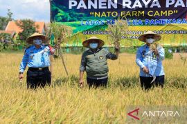 Lapas Pamekasan panen raya dan jual paving hasil karya warga binaan