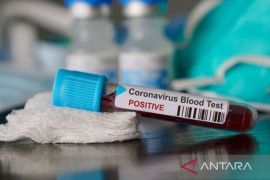 Update COVID-19 Tapsel, positif tercatat enam kasus