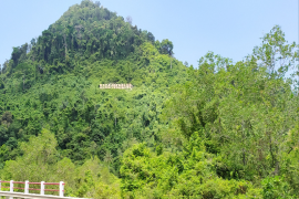 DLHK: Deforestasi hutan Aceh karena pertambangan ilegal