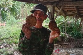 Ministry seeks to boost brown sugar production