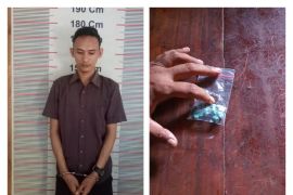 Polsek Besitang tangkap pemilik 14 butir pil ekstasi