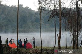 BTNLL:  Hutan di Sulteng rusak karena pembalakan dan penambangan liar