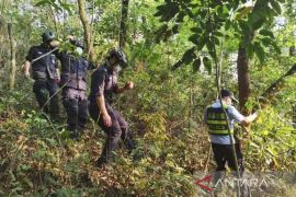 Wakil PM pimpin pencarian korban jatuhnya pesawat China Eastern