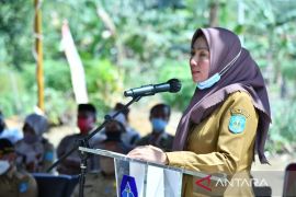 Dinparbud Bangka pastikan gelar pentas seni budaya