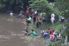 Musim Pladu di Sungai Brantas