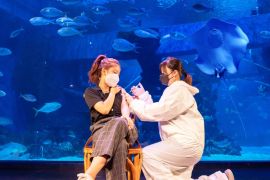 Jakarta Aquarium and Safari suguhkan layanan vaksinasi dalam nuansa rekreasi