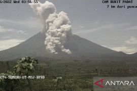 Gunung Semeru meluncurkan awan panas guguran sejauh empat kilometer ke tenggara