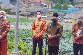 Wapres Ma'ruf Amin sebut transformasi BLK harus tampak dalam penyelenggaraan pelatihan