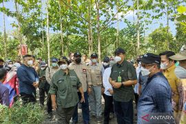 Taman Hutan Hujan Tropis Kalsel menjadi percontohan Pembangunan forest city di IKN