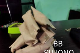 Bawa ganja, Petani Pijay di ciduk Polisi