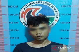 Kasus narkoba, oknum honorer Pemkab Madina diringkus polisi